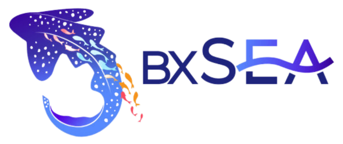 BX Sea